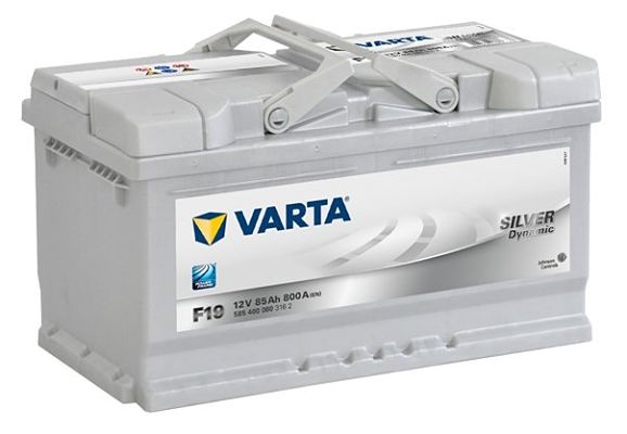 Silver Dynamic F19