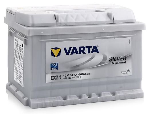 Silver Dynamic D21
