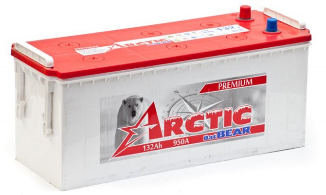 Arctic BatBear